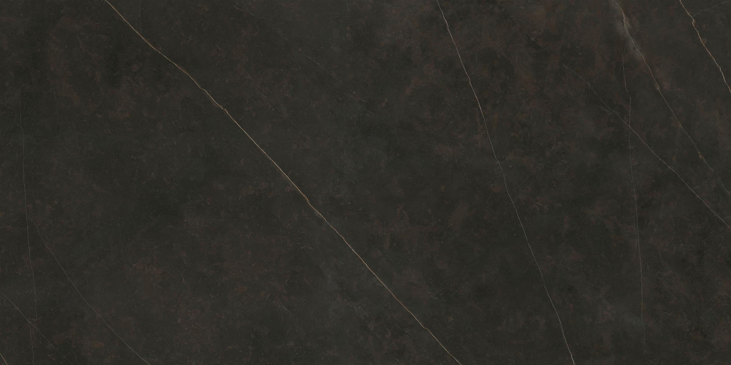 BDL0081
