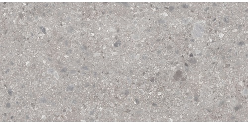 BDL0869a
