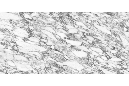 BDL0856a