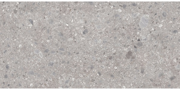 BDL0869a