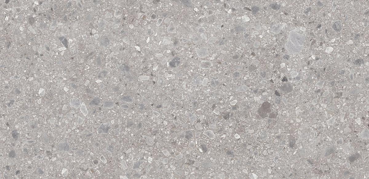 BDL0869a