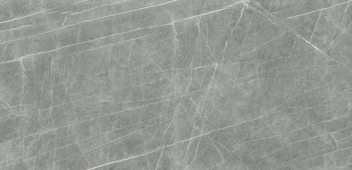 BDL0877a